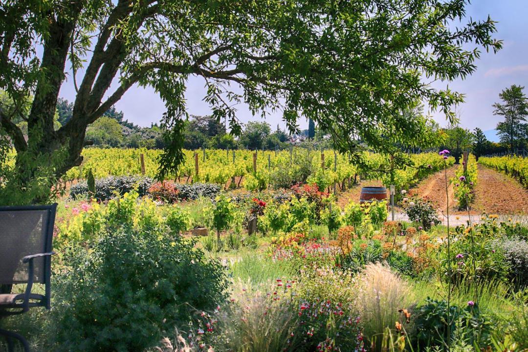 O'Vineyards B&B Carcassonne Villemoustaussou Exteriör bild