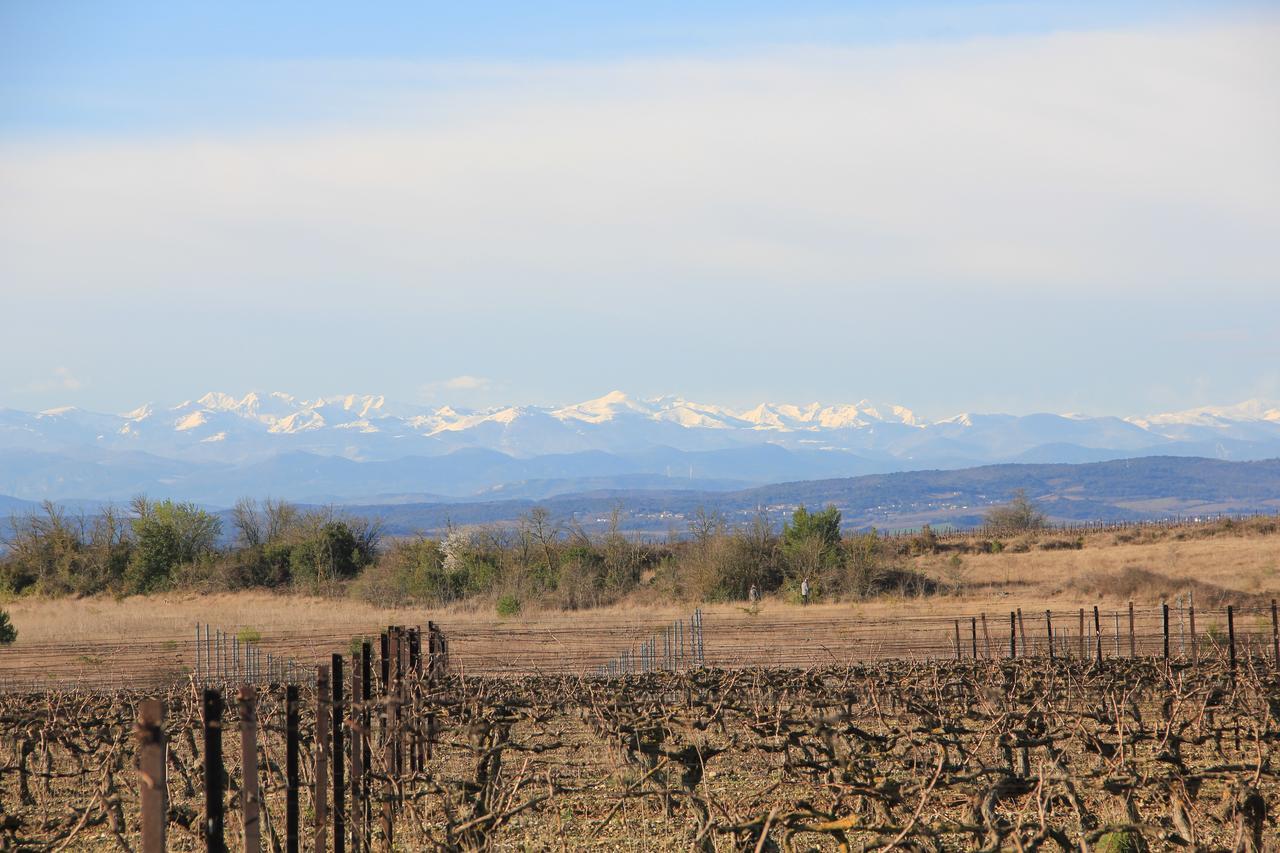 O'Vineyards B&B Carcassonne Villemoustaussou Exteriör bild